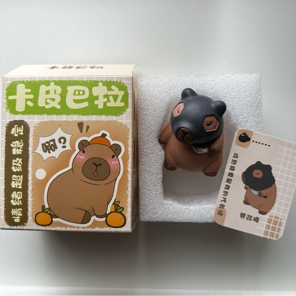 Capybara Blindbox Series